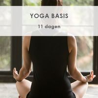 Yoga Basis
